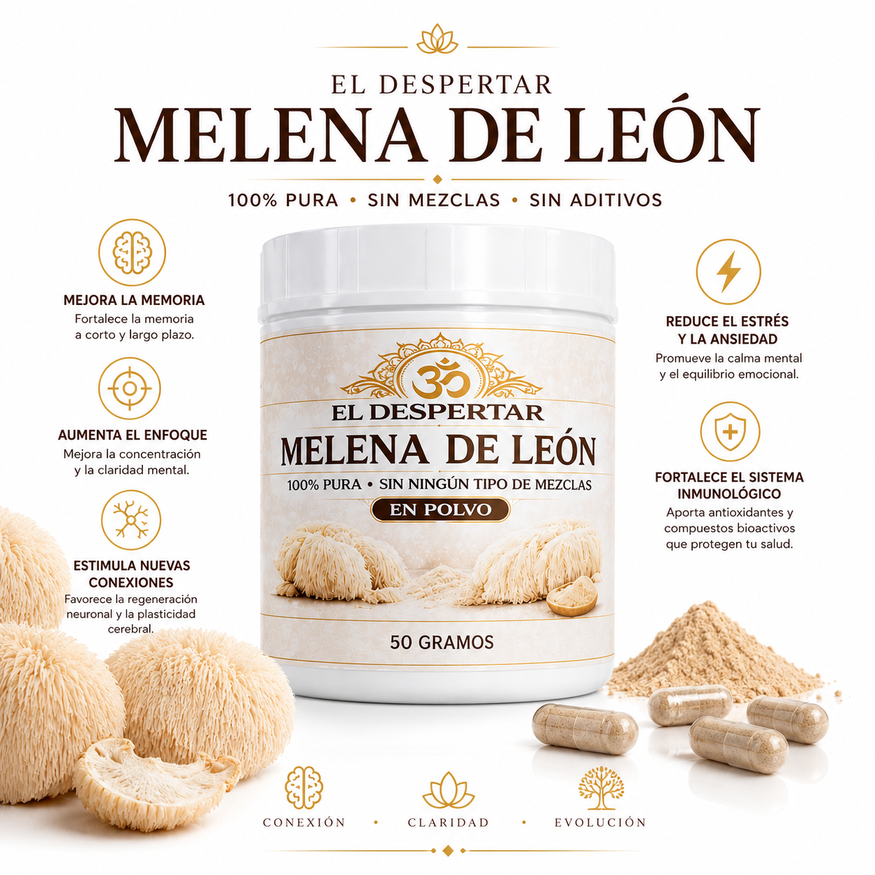 Melena de León en Polvo x 50grs