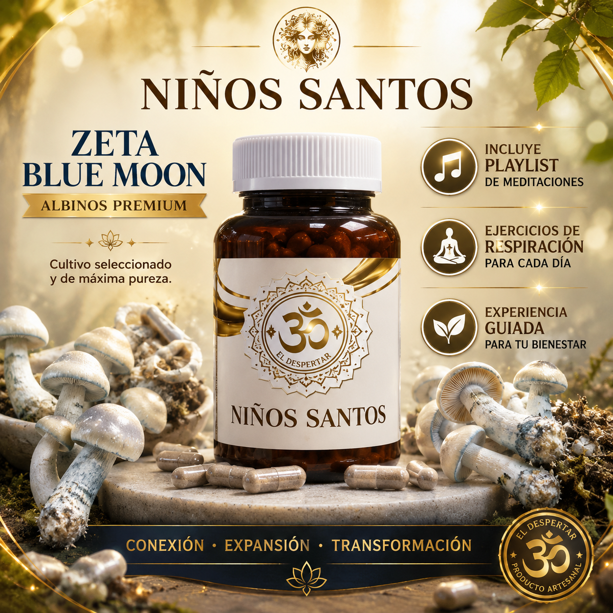 Niños Santos