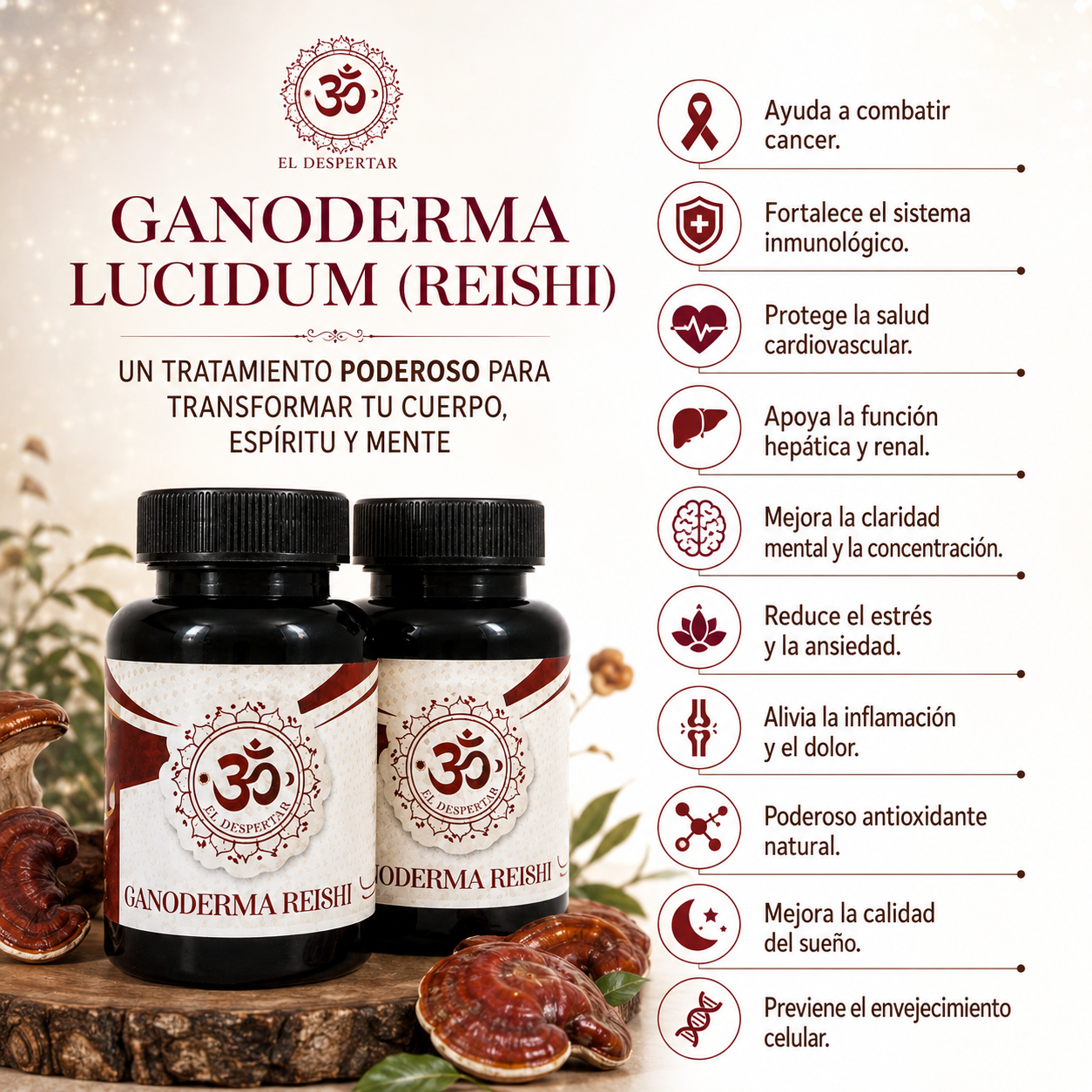Ganoderma Reishi