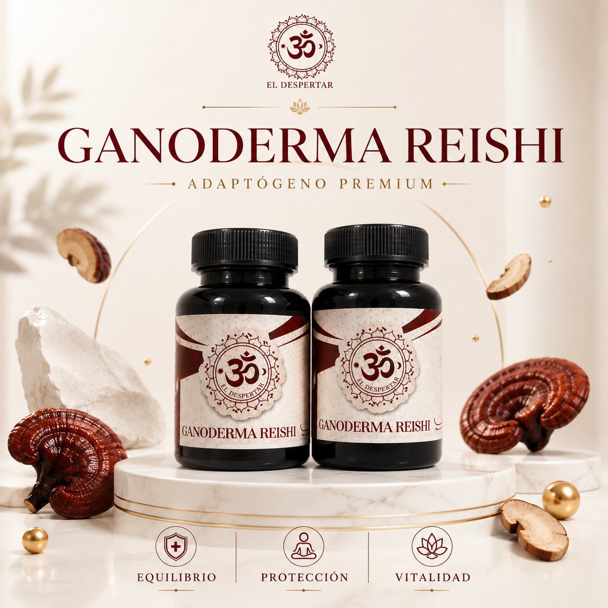 Ganoderma Reishi