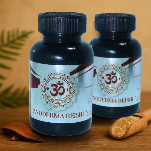 Ganoderma Reishi