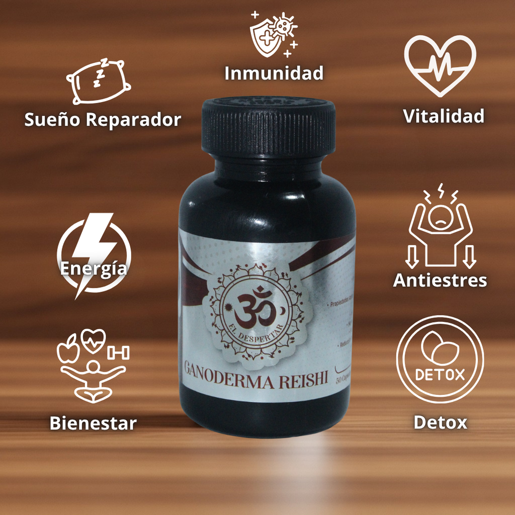 Ganoderma Reishi